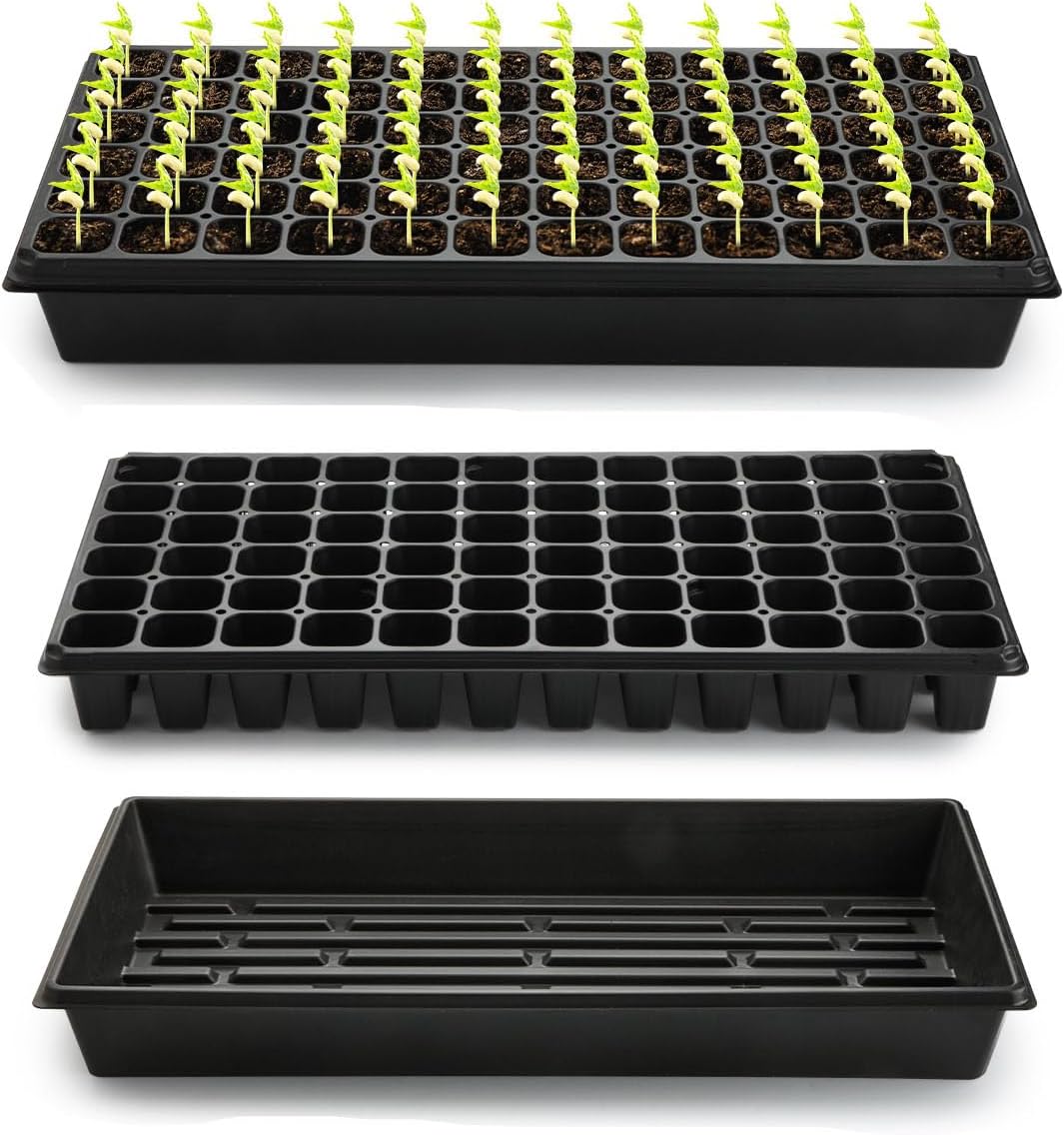 20-Piece Seed Starter Kit with - Propagation Tray 72 recensione e prezzo