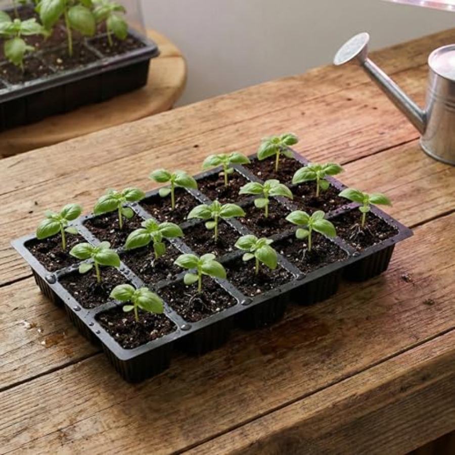 5-Set Seed Starter Tray Kits D - Humidity Dome Kit recensione e prezzo