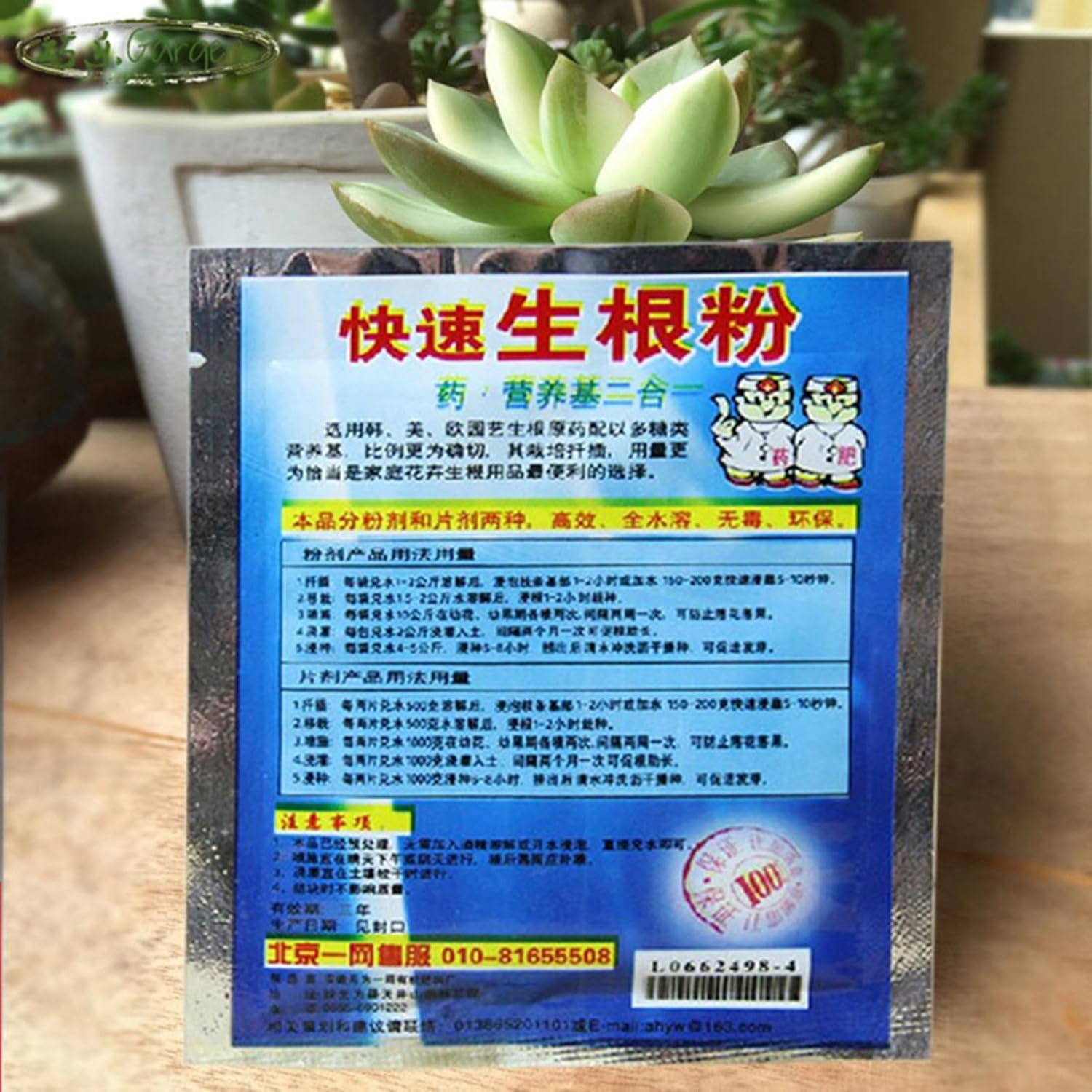 10 Bag 10g Rooting Powder for  - Rooting Hormone Powder recensione e prezzo