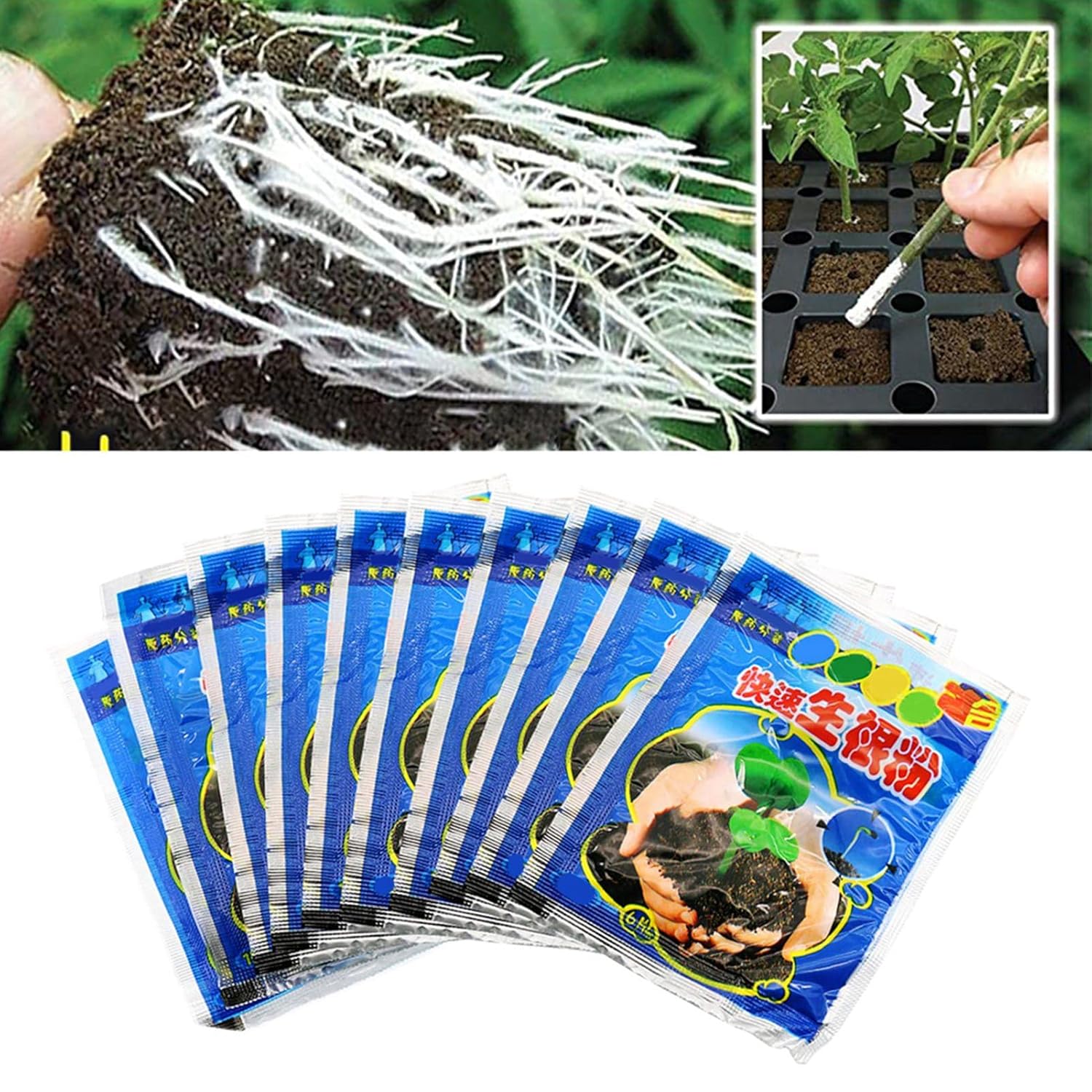 10 Bag 10g Rooting Powder for  - Rooting Hormone Powder recensione e prezzo