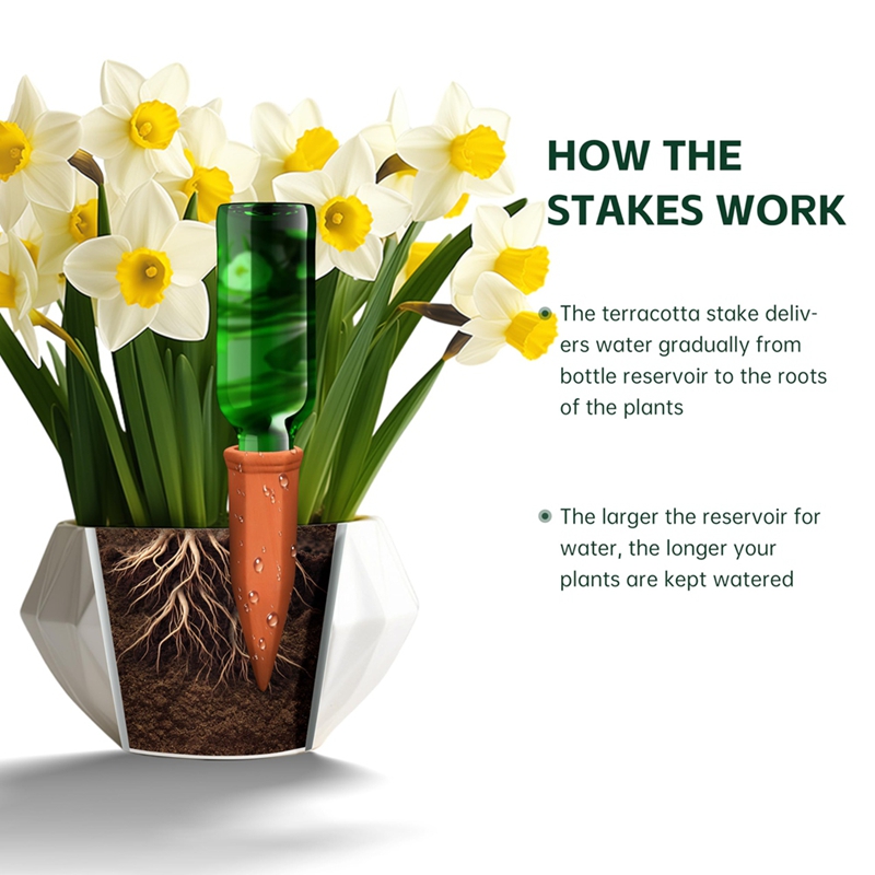 Terracotta Watering Spikes,Win - Self Watering Insert recensione e prezzo