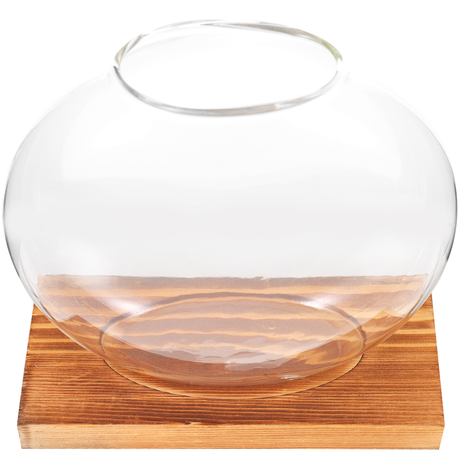 Glass Hydroponic Plant Vase wi - Propagation Station Vase recensione e prezzo