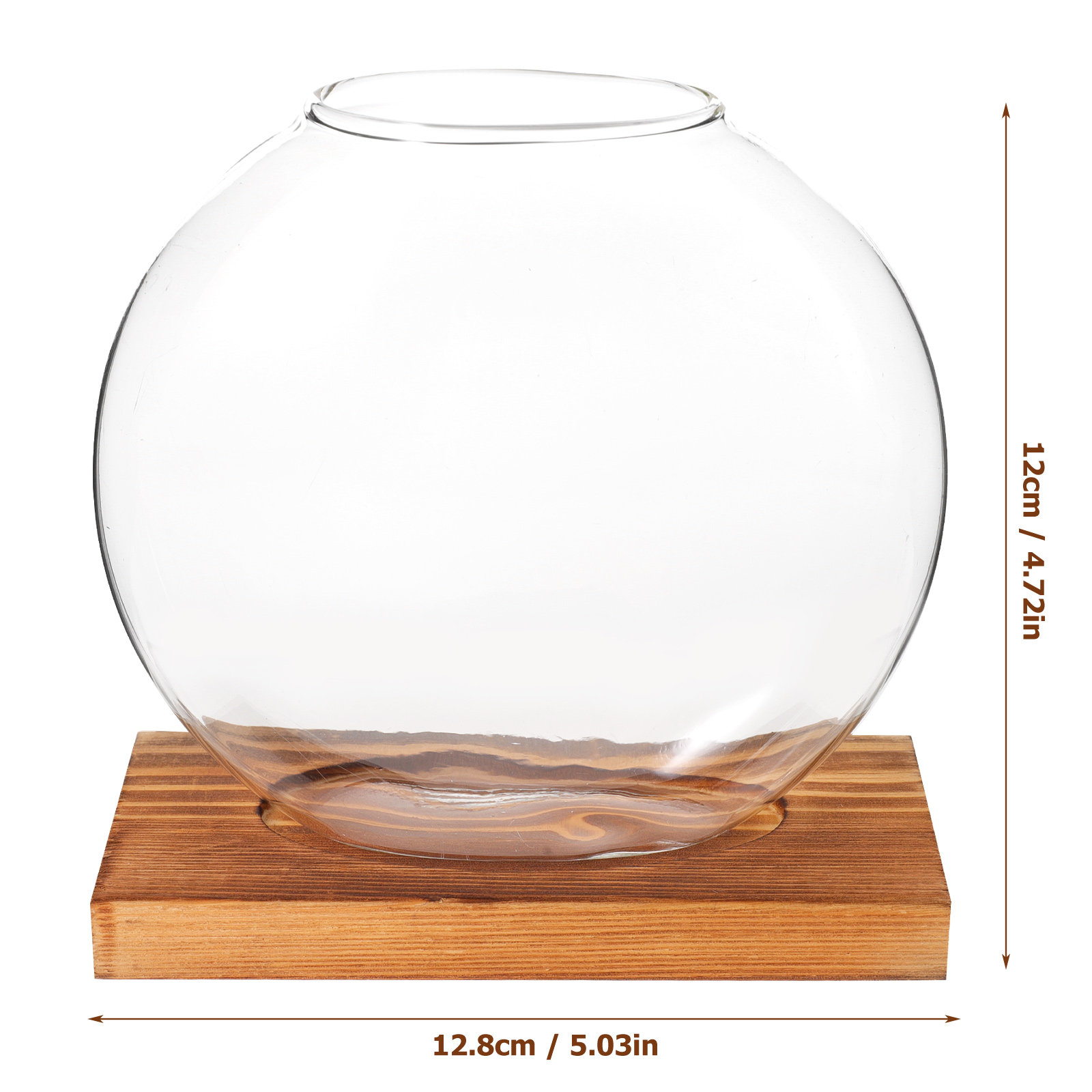 Glass Hydroponic Plant Vase wi - Propagation Station Vase recensione e prezzo