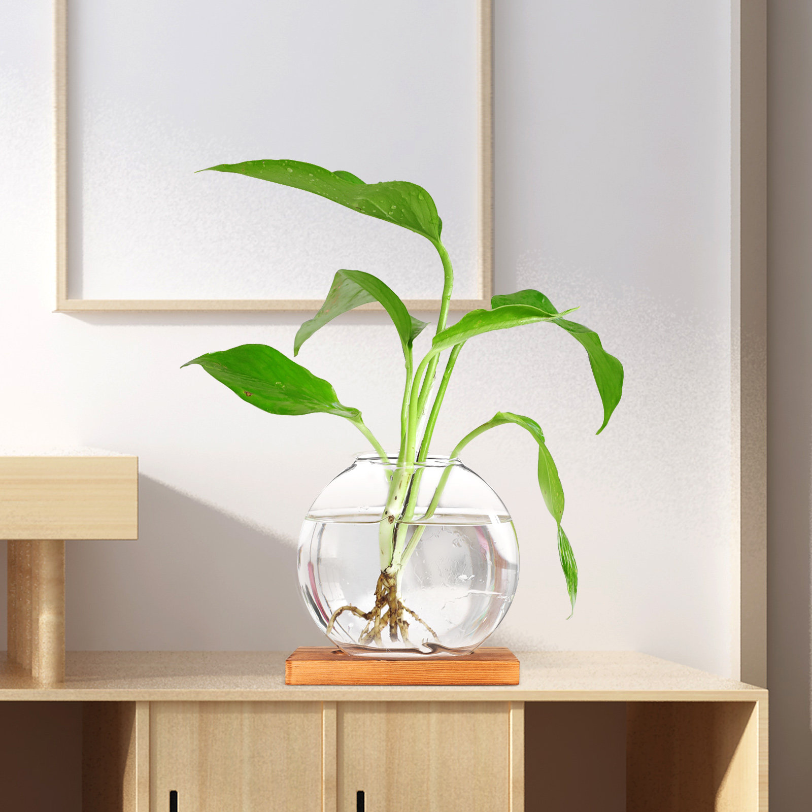 Glass Hydroponic Plant Vase wi - Propagation Station Vase recensione e prezzo