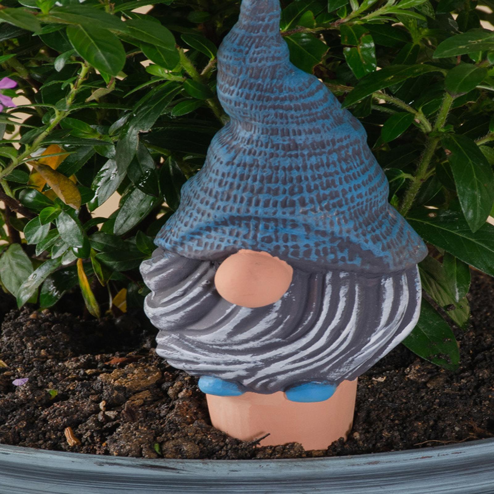 Automatic Potted Plant Waterin - Self Watering Insert recensione e prezzo